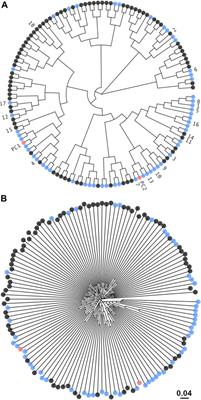 Exploring rigid-backbone protein docking in biologics discovery: a test using the DARPin scaffold